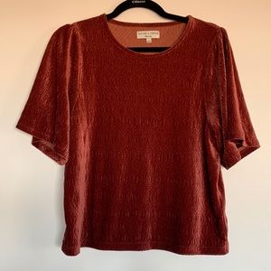 Madewell Velvet Short Sleeved Top
